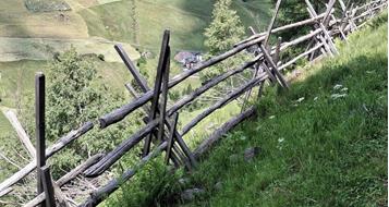 landschaftspflege-foto-lpa-horand-i-mair