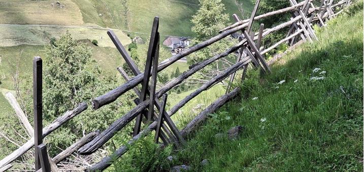 landschaftspflege-foto-lpa-horand-i-mair
