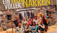 ein-hof-voller-narren