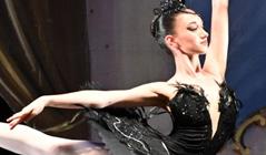 lago-dei-cigni-teatro-stabile