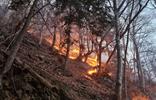 waldbrand-fotolandesforstdienst[2]