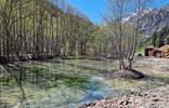 pflerscherbach-teich-toffring
