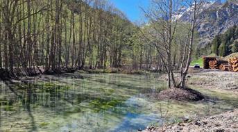 pflerscherbach-teich-toffring
