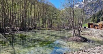 pflerscherbach-teich-toffring