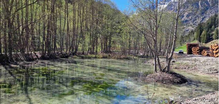 pflerscherbach-teich-toffring