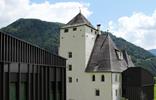 schlossmoos-foto-sozialgenossenschaft-vinzenz