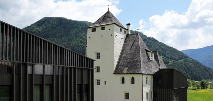 schlossmoos-foto-sozialgenossenschaft-vinzenz