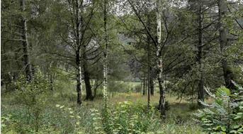 initiativgruppe-sterzinger-moos