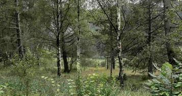 initiativgruppe-sterzinger-moos