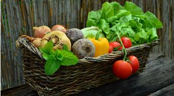 gartenglu-ck-pixabay