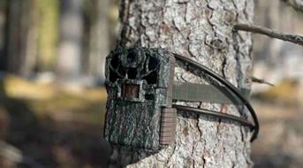 fotofallen-wildtiermanagement