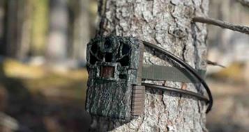 fotofallen-wildtiermanagement