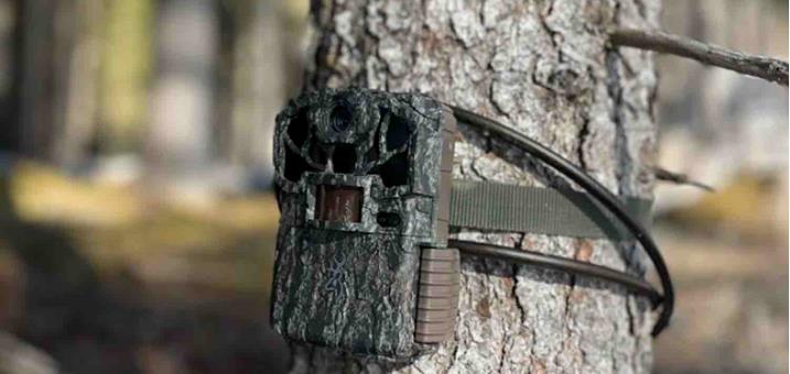 fotofallen-wildtiermanagement