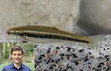 tag-des-fisches-dominik-trenkwalder-elritze
