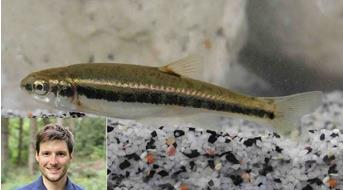 tag-des-fisches-dominik-trenkwalder-elritze
