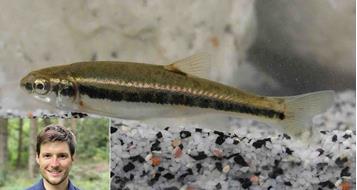 tag-des-fisches-dominik-trenkwalder-elritze