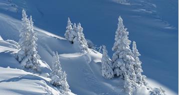 winterlandschaft-pixabay