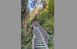 gilfenklamm-steinschlag