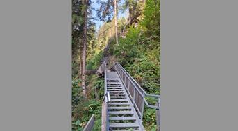 gilfenklamm-steinschlag