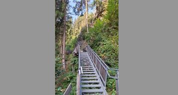 gilfenklamm-steinschlag