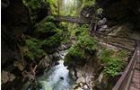 gilfenklamm1