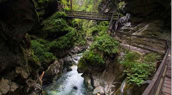 gilfenklamm1