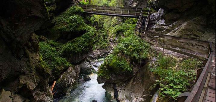 gilfenklamm1