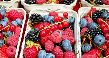 beeren-pixabay