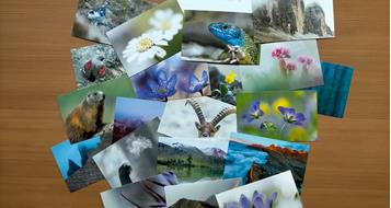 die-neue-postakartenserie-als-info-fu-r-die-naturparkha-user-des-landes-su-dtirol-amt-fu-r-natur-simon-perathoner