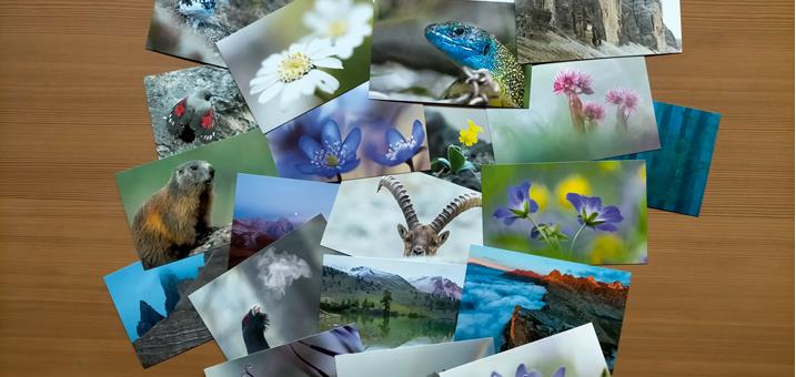 die-neue-postakartenserie-als-info-fu-r-die-naturparkha-user-des-landes-su-dtirol-amt-fu-r-natur-simon-perathoner