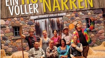 ein-hof-voller-narren