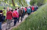 ve-friedenswanderung