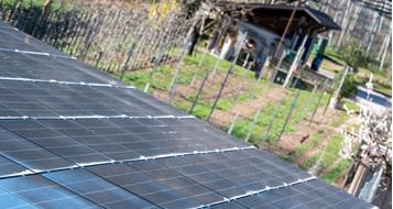 photovoltaikanlage-lpa-foto-manuela-tessaro