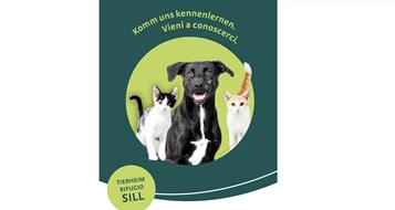 tierheim-kampagne