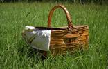 picknick-pixabay[2]