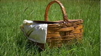 picknick-pixabay[2]