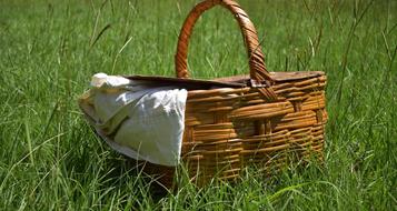 picknick-pixabay[2]