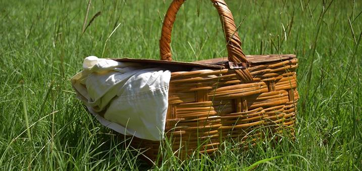 picknick-pixabay[2]