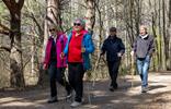 senioren-wald-bewegung-spazieren-ingrid-heiss