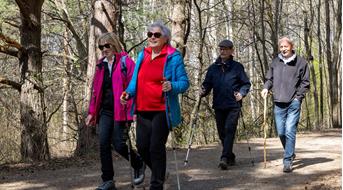 senioren-wald-bewegung-spazieren-ingrid-heiss