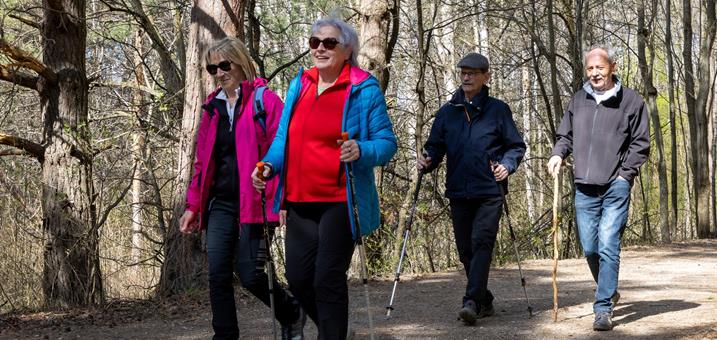 senioren-wald-bewegung-spazieren-ingrid-heiss