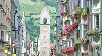 blumen-neustadt