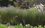 garten-mauls