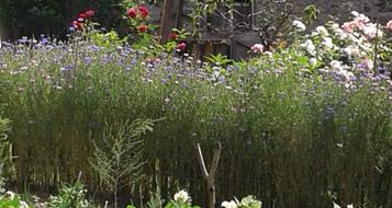 garten-mauls