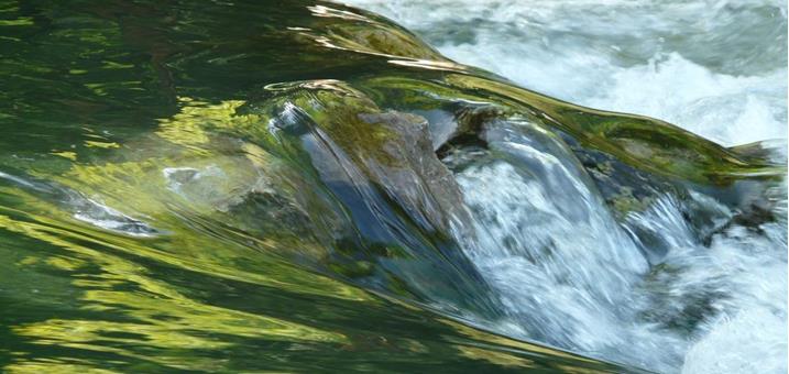 bach-wasser