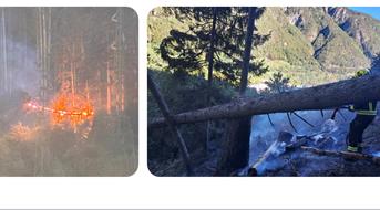 waldbrand-franzensfeste