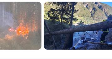 waldbrand-franzensfeste