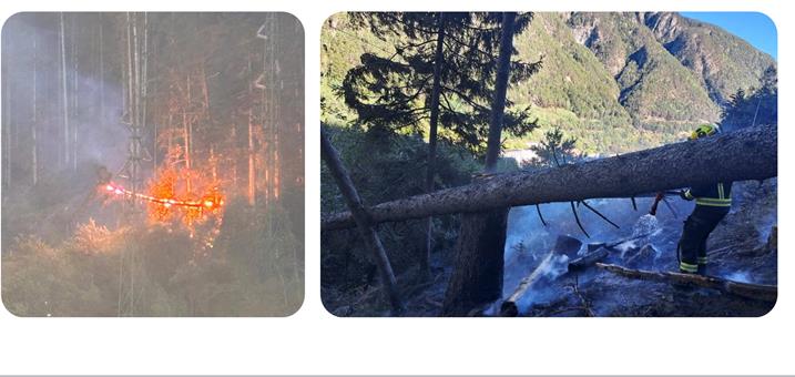 waldbrand-franzensfeste