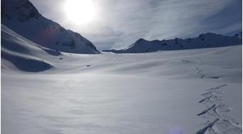 schnee