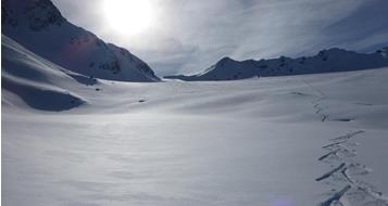 schnee